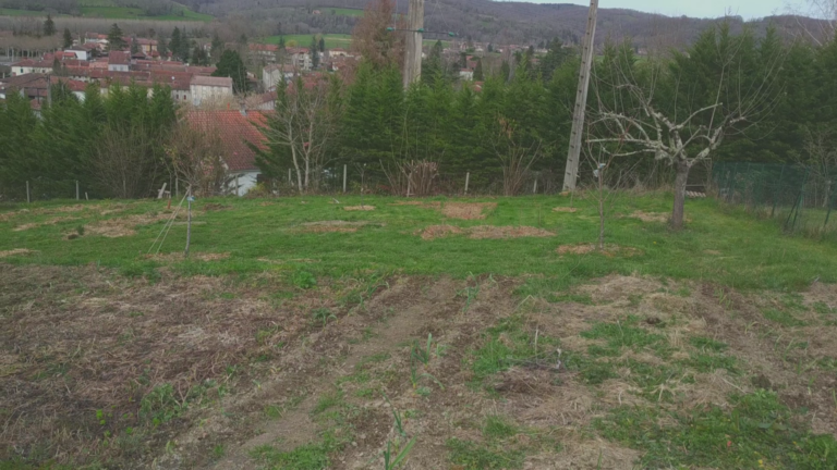 vignette plantes vivaces