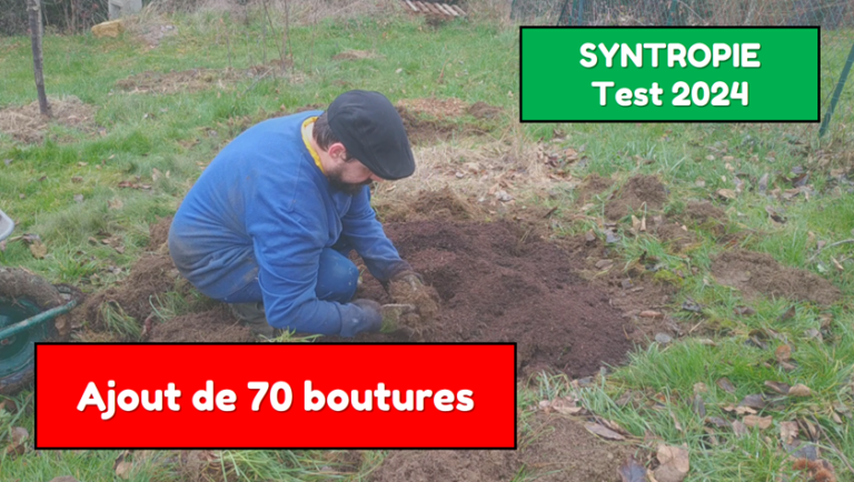 densification du verger