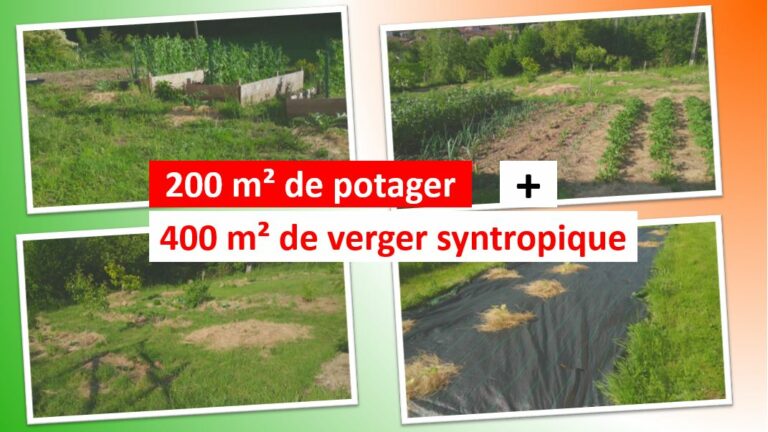 5 manières de cultiver - vignette