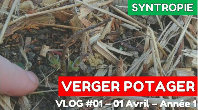 syntropie Avril année 1