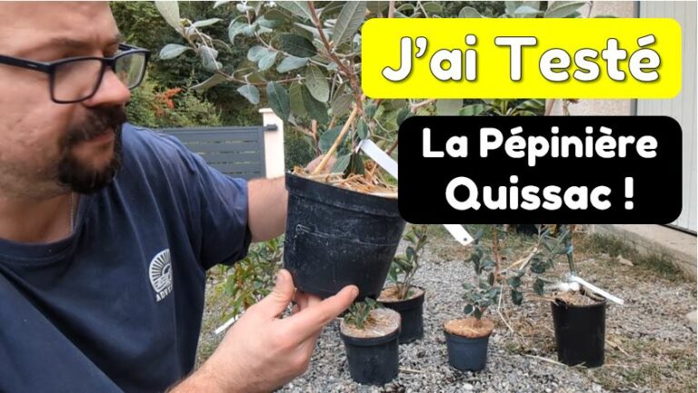 J&rsquo;ai testé les plants de la pépinière Quissac