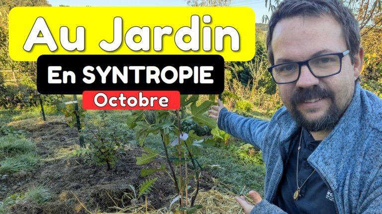 PLANTATIONS, RÉCOLTES, BOUTURES : La SYNTROPIE en Octobre au Jardin