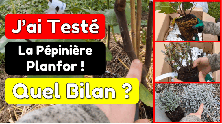 J&rsquo;ai testé les plants de la pépinière PLANFOR