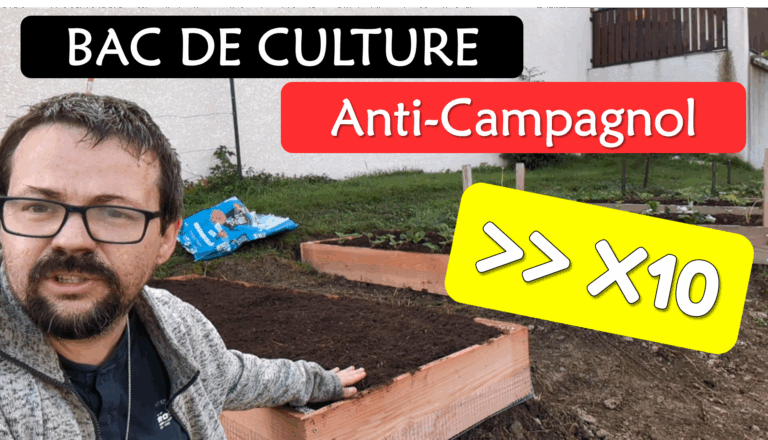 Réalisation d&rsquo;un bac de culture anti-campagnol