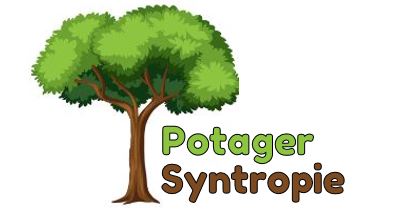 Potager et Syntropie