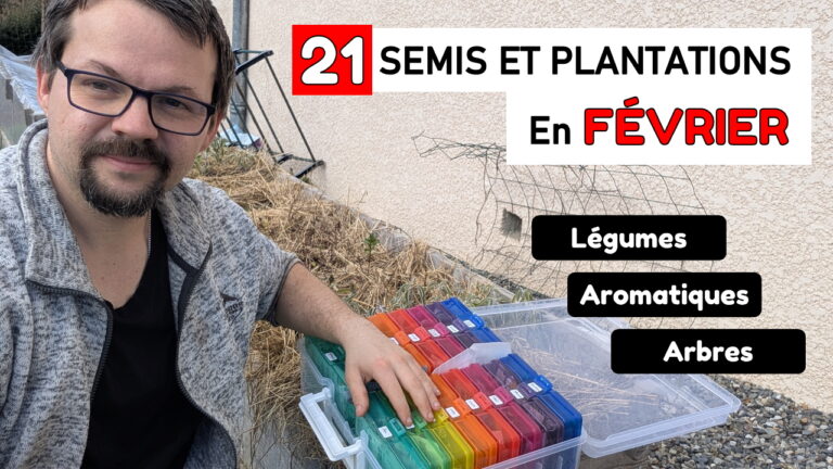 FÉVRIER : Tous les SEMIS et PLANTATIONS