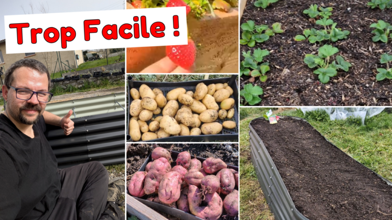 POTAGER en BAC